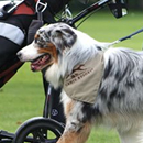 hugocup_2011_1