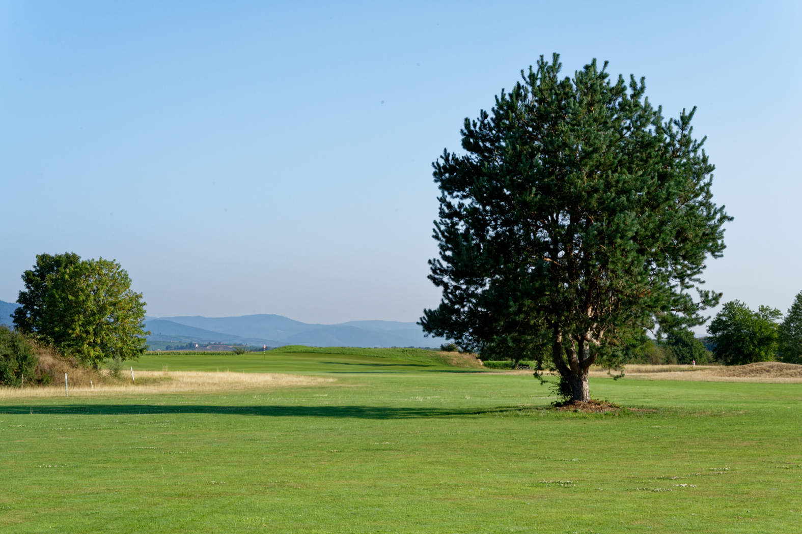 Alsace Golf Links - 9