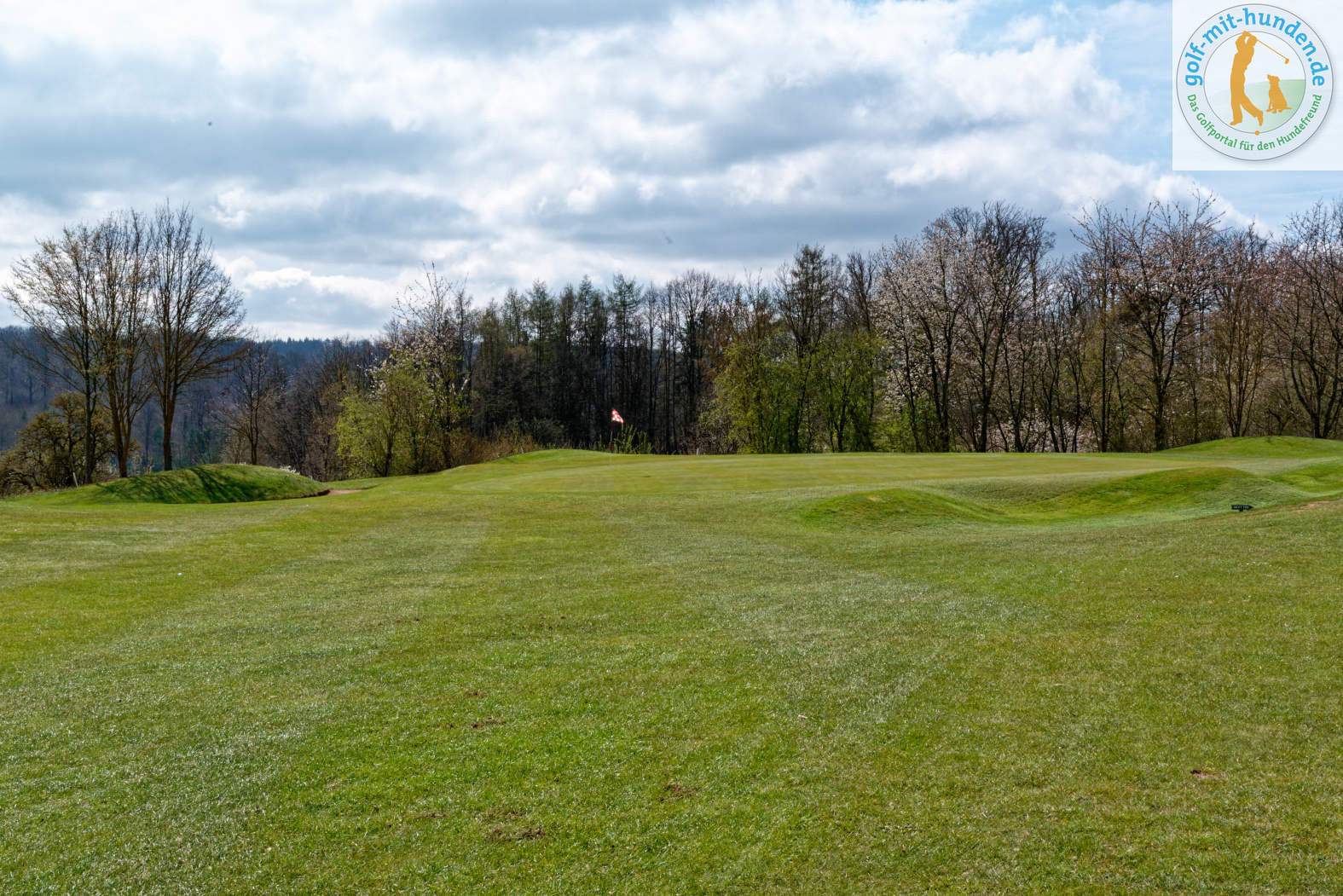 Golf- und Landclub Bad Arolsen - 11