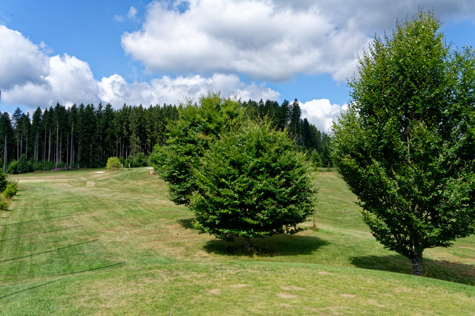 Golf Club Hochschwarzwald - 1