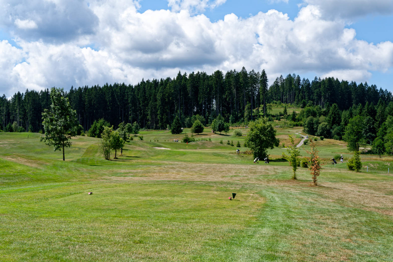 Golf Club Hochschwarzwald - 1