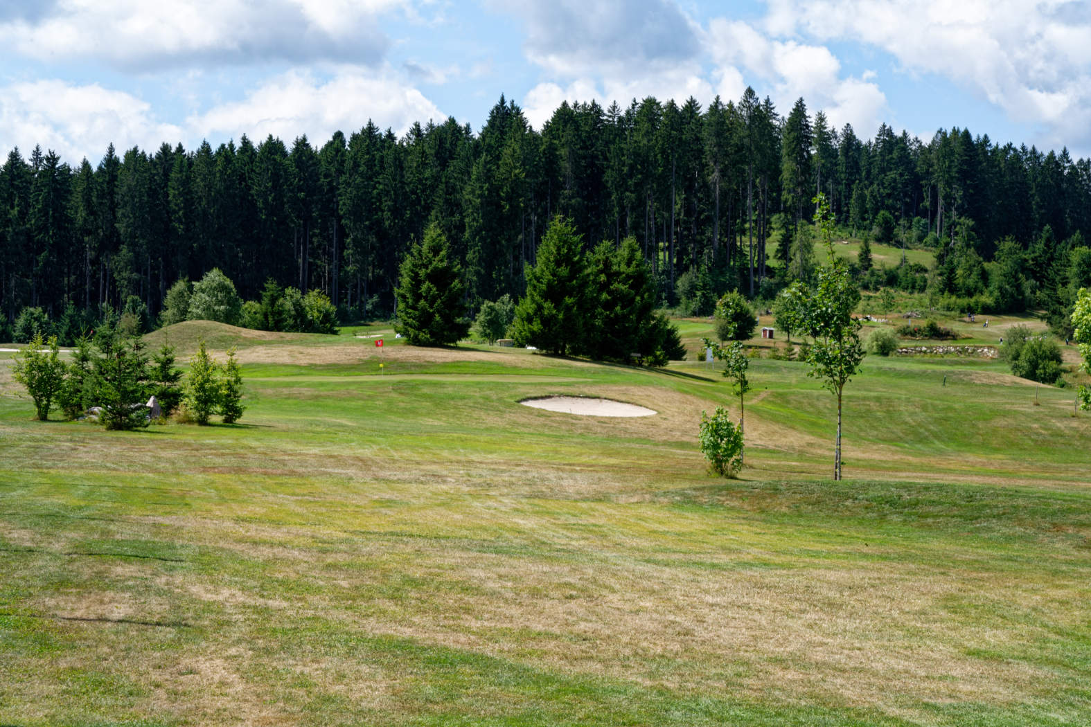 Golf Club Hochschwarzwald - 10