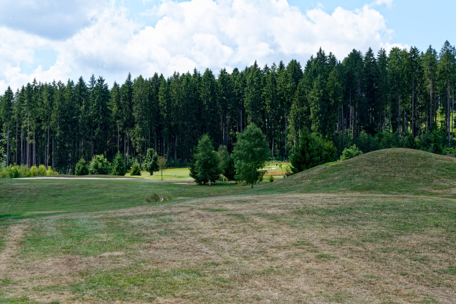 Golf Club Hochschwarzwald - 11