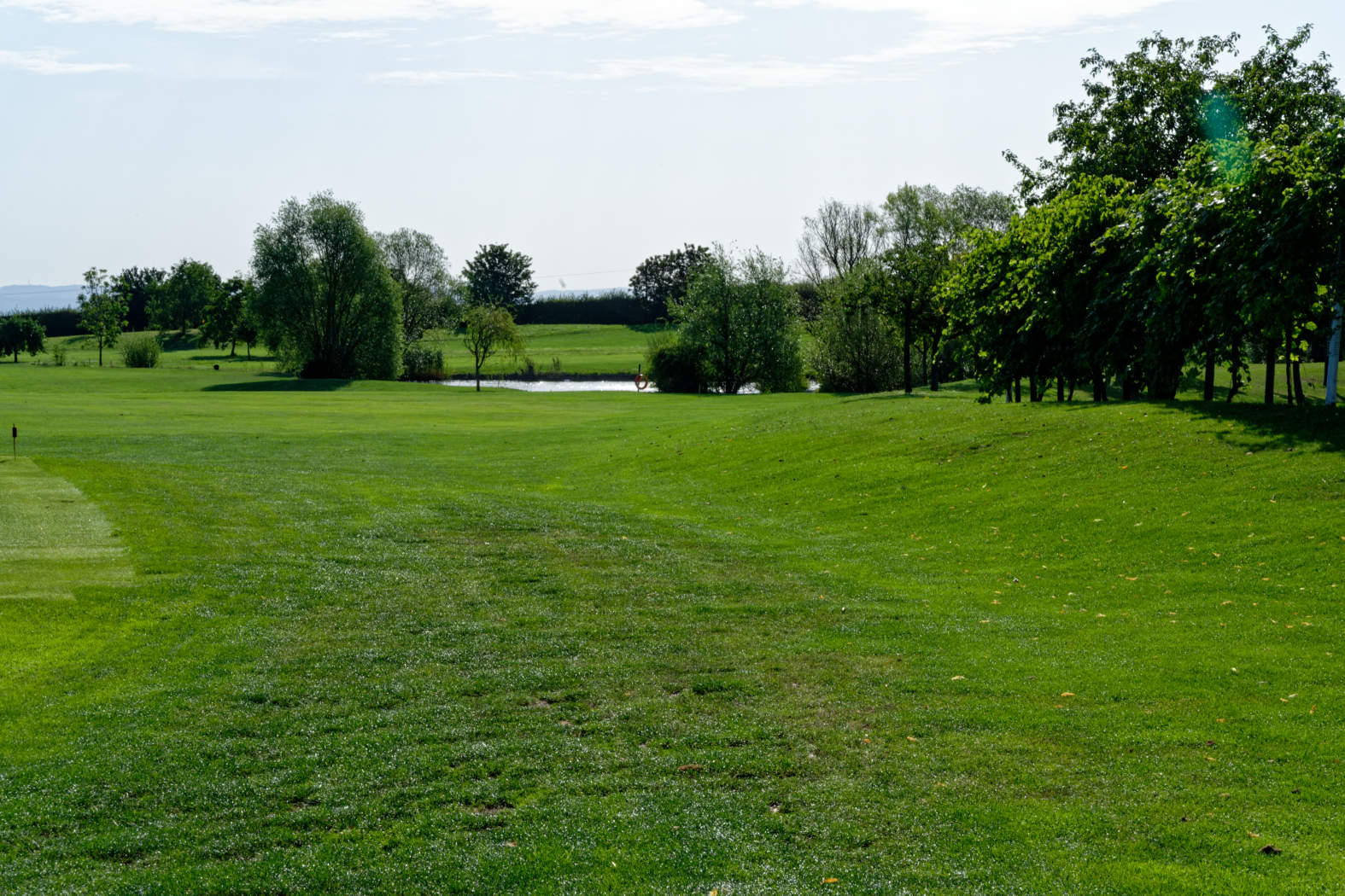 Golfplatz Cleebronn - 8